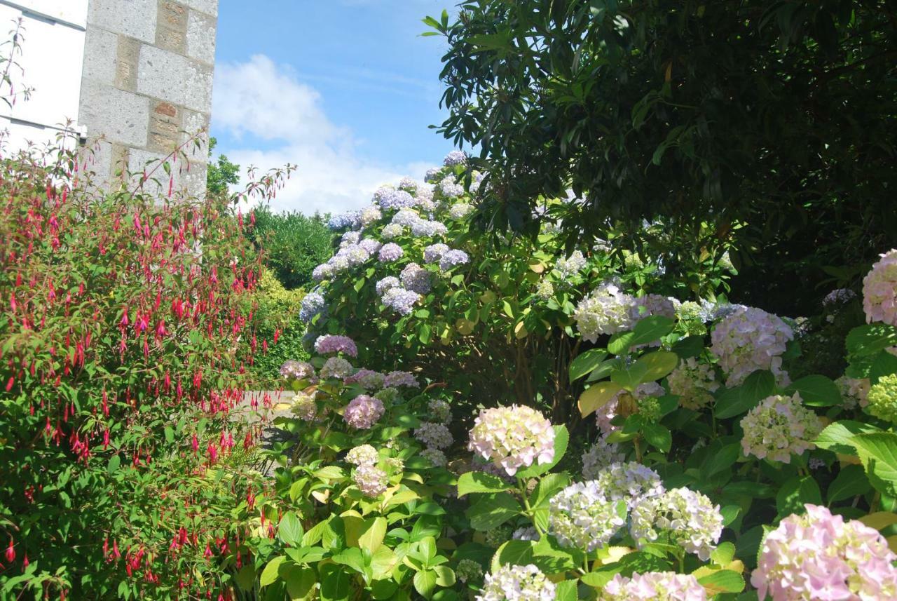 B&B Le Mesnil Saint-Senier-sous-Avranches Ngoại thất bức ảnh